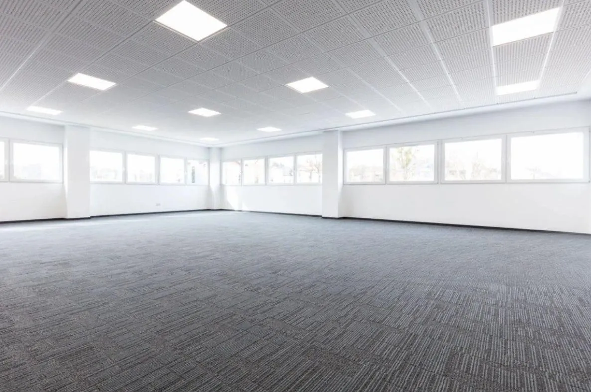 Carpet & flooring project by Brad's Carpets in South-West Sydney, photo 2