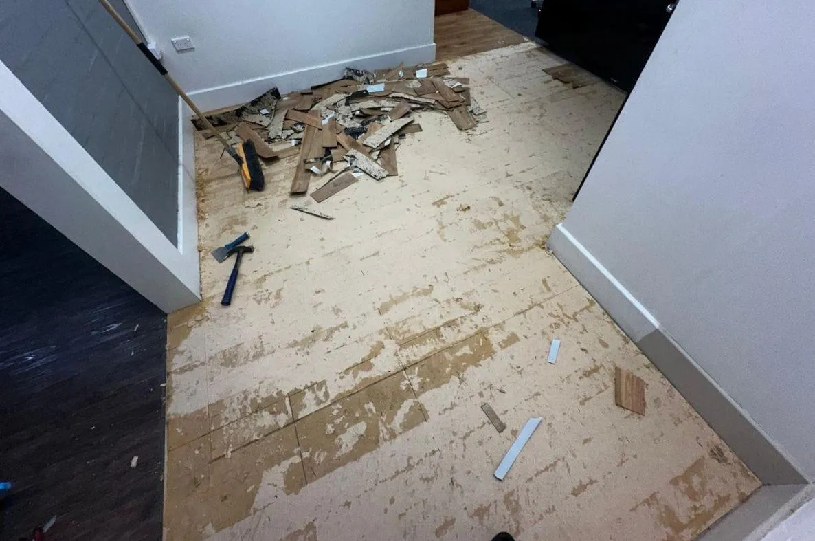 Carpet & flooring project by Brad's Carpets in South-West Sydney, photo 10