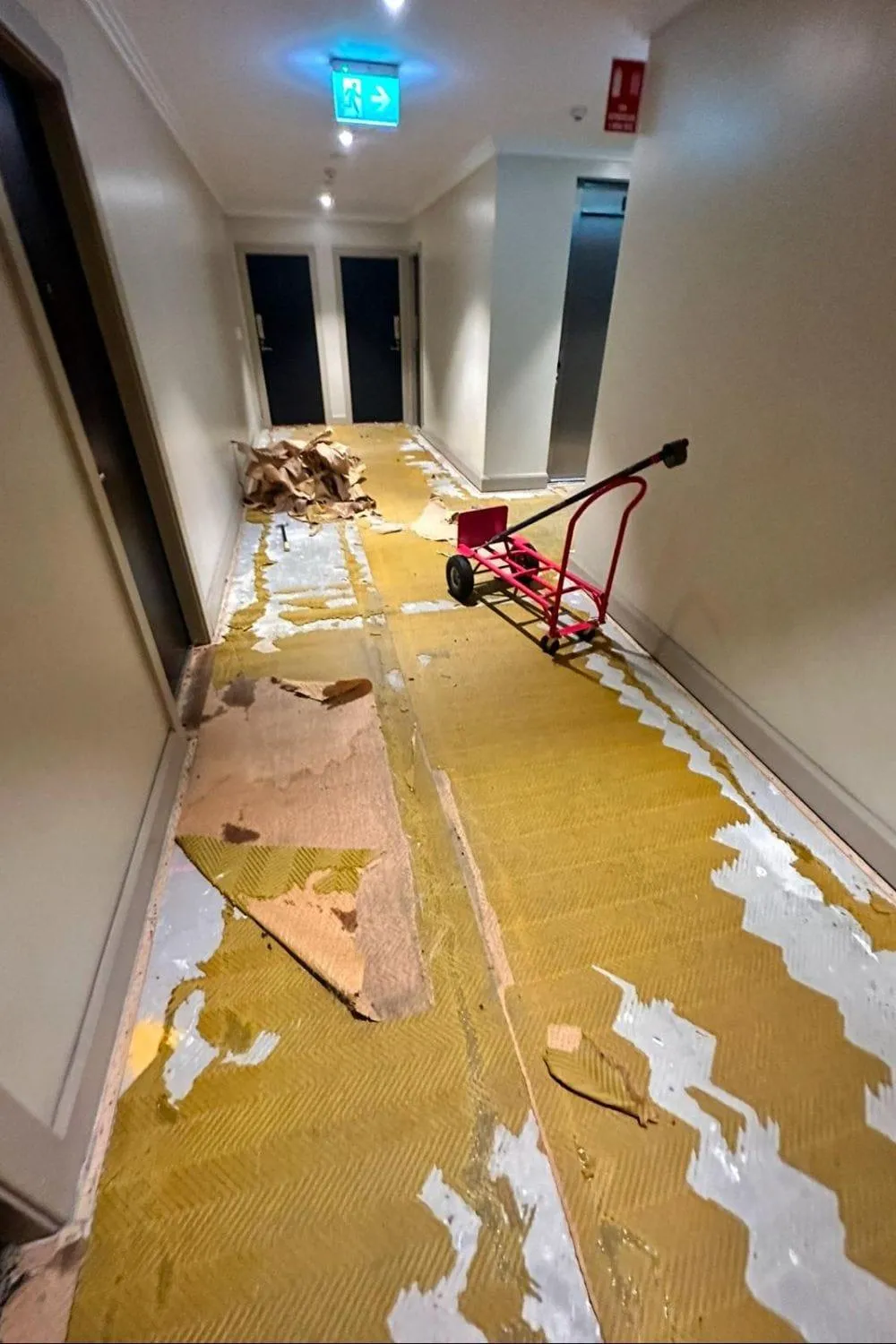 Carpet & flooring project by Brad's Carpets in South-West Sydney, photo 14